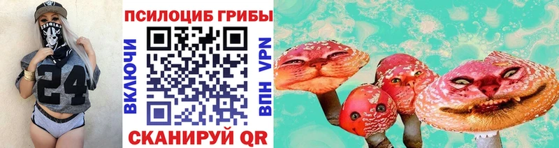 Псилоцибиновые грибы Psilocybe  Сосновоборск 
